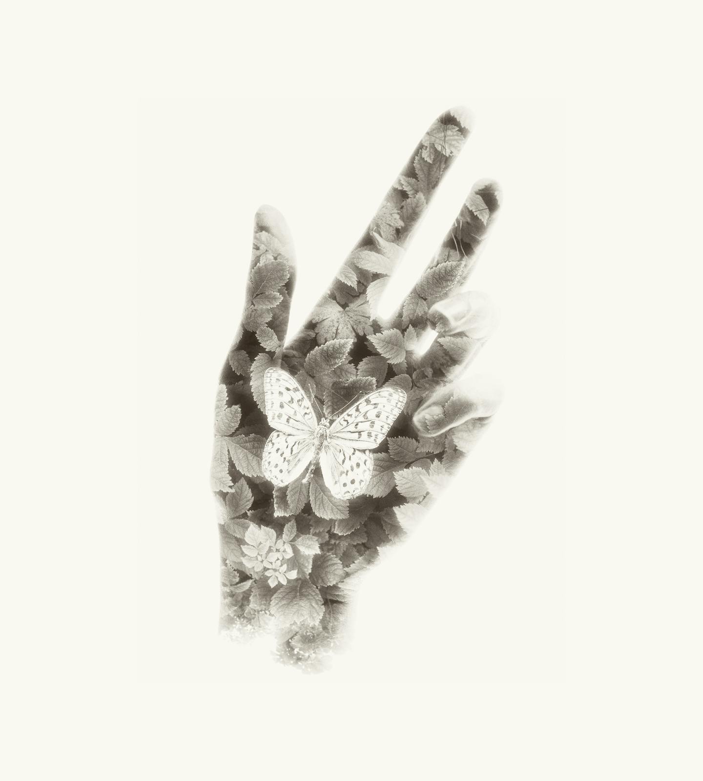 Artwork of a hand superimposed with flowers and the sketch of a butterfly