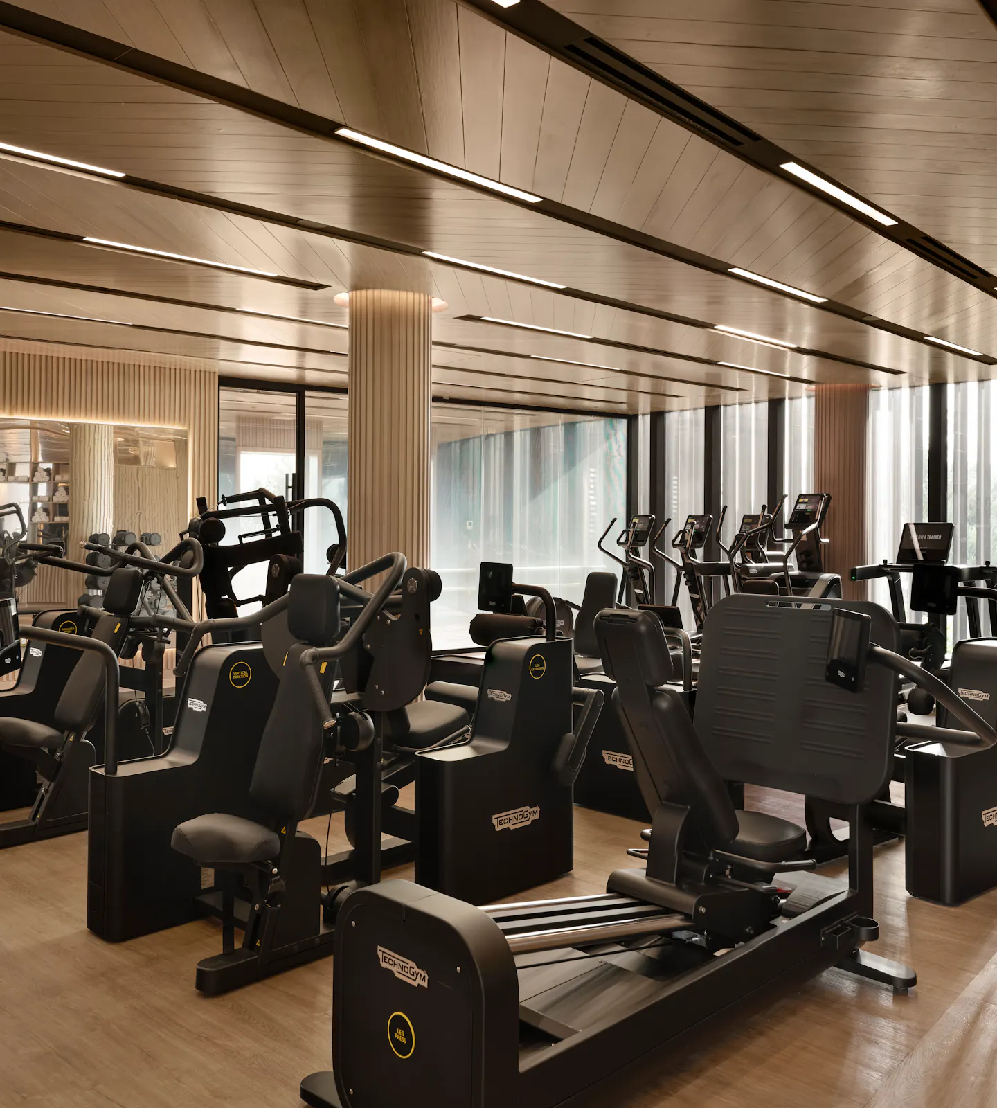 Interior of the Fitness Lounge with strength and cardio equipment at Meraki Wellness