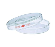 PLACAS PETRI DE VIDRIO COMPLETA 100x15MM