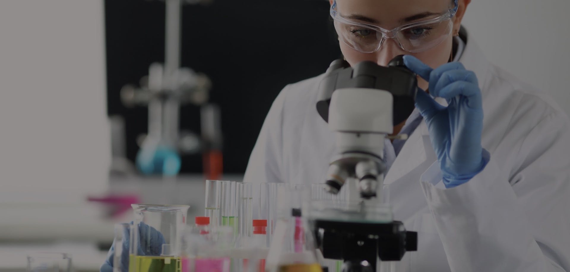 Más de 40 años de experiencia reafirman nuestro compromiso y visión