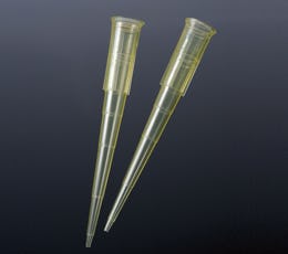 TIPS AMARILLO 200UL