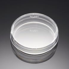 PLACAS IVF 60X15MM IN VITRO FERTILIZACION SIN POCILLO