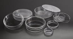Placas petri poliest. 55 x 13 mm 28 ml