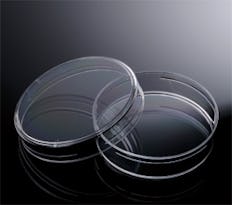Placas petri descartable estéril 60 x 15 mm