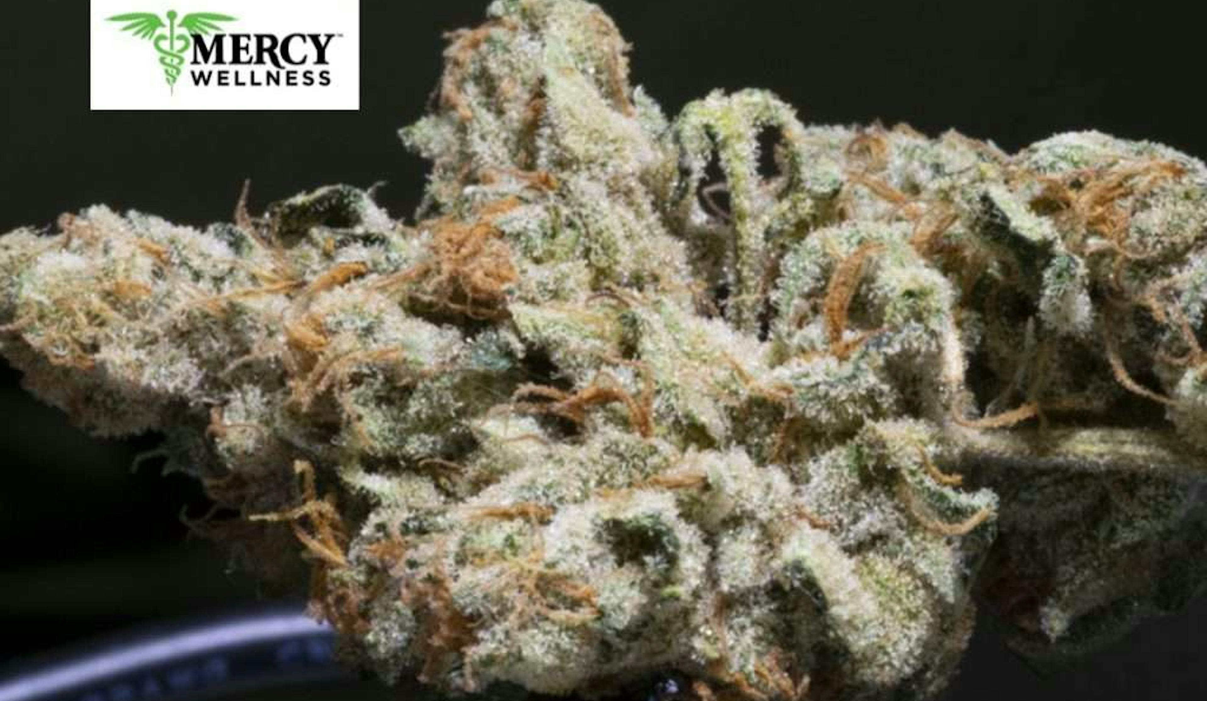 Elevate Your Cannabis Journey With Sour Diesel Strain