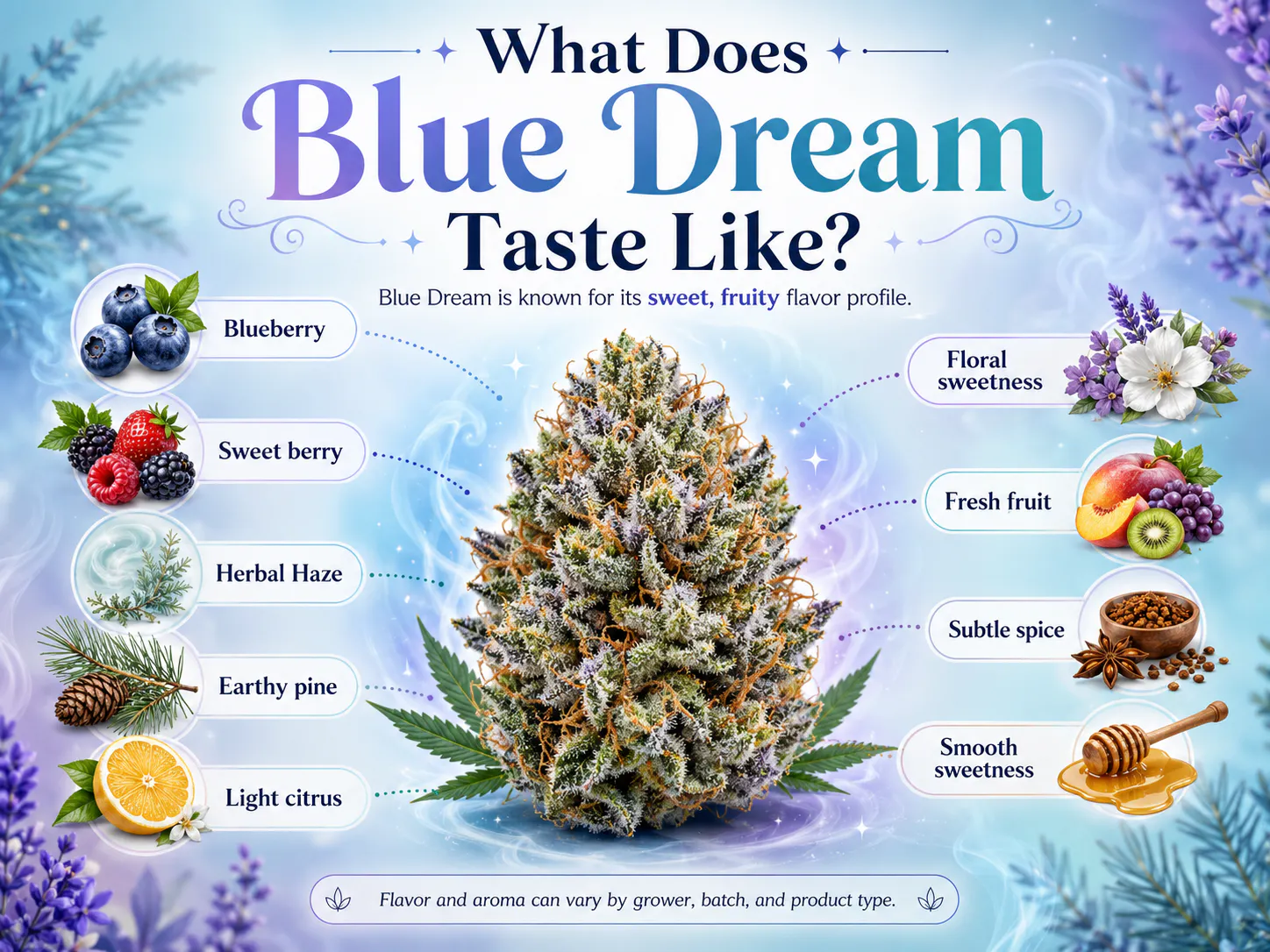Blue Dream Strain Guide: Effects, Flavor, THC & Where to Find It