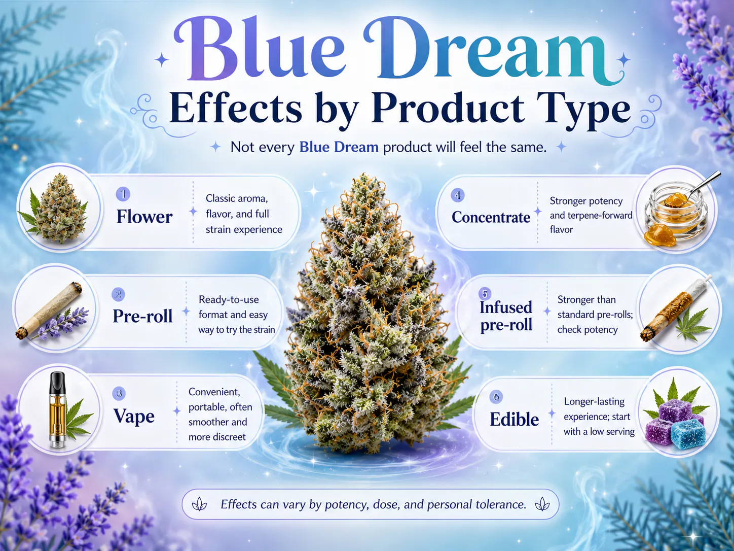 Blue Dream Strain Guide: Effects, Flavor, THC & Where to Find It