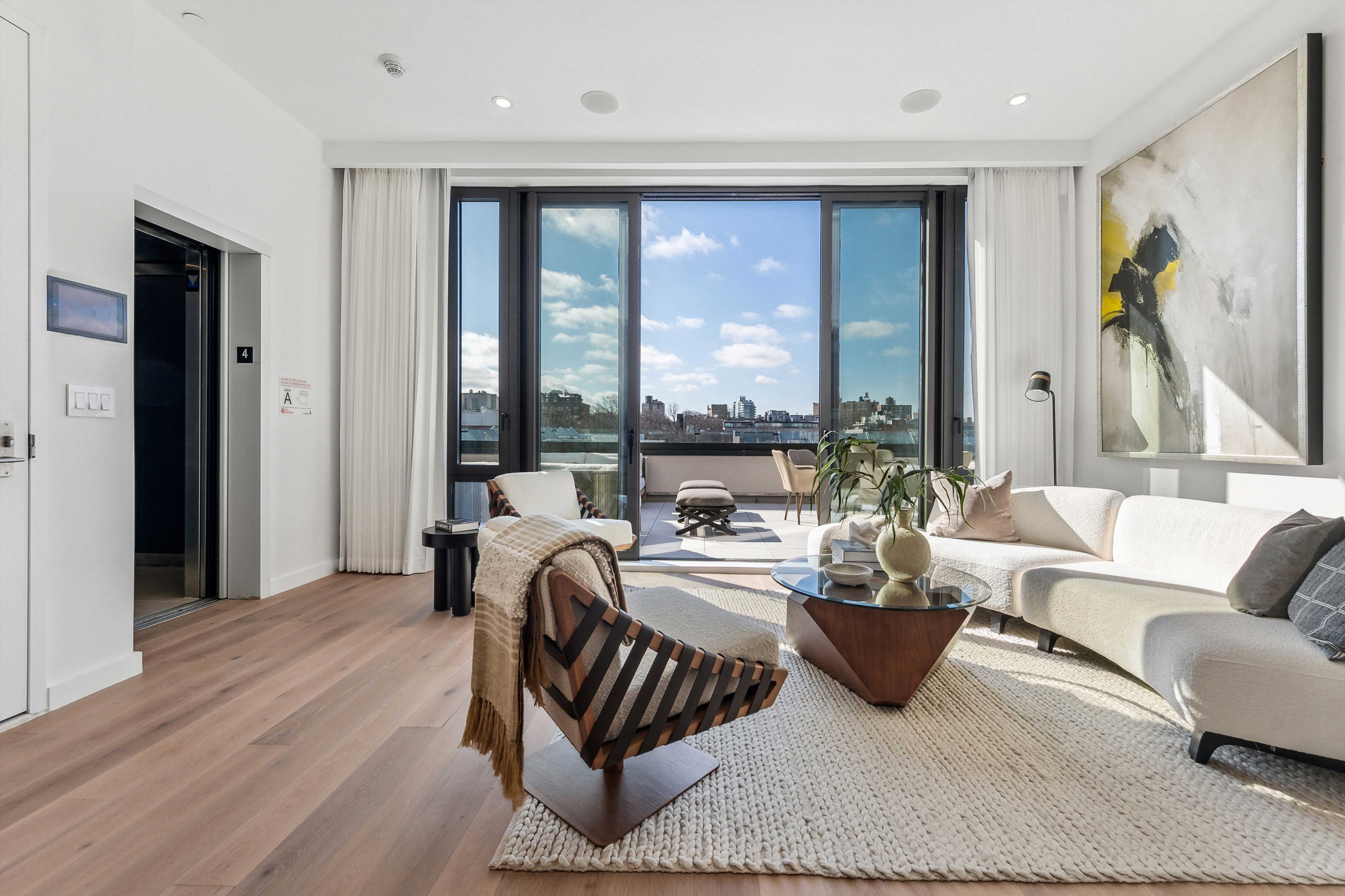 Meridith-Baer-Home-Home-Staging-New-York-Prospect-Heights-Penthouse-Transitional-Luxury-Homes-Living-Room