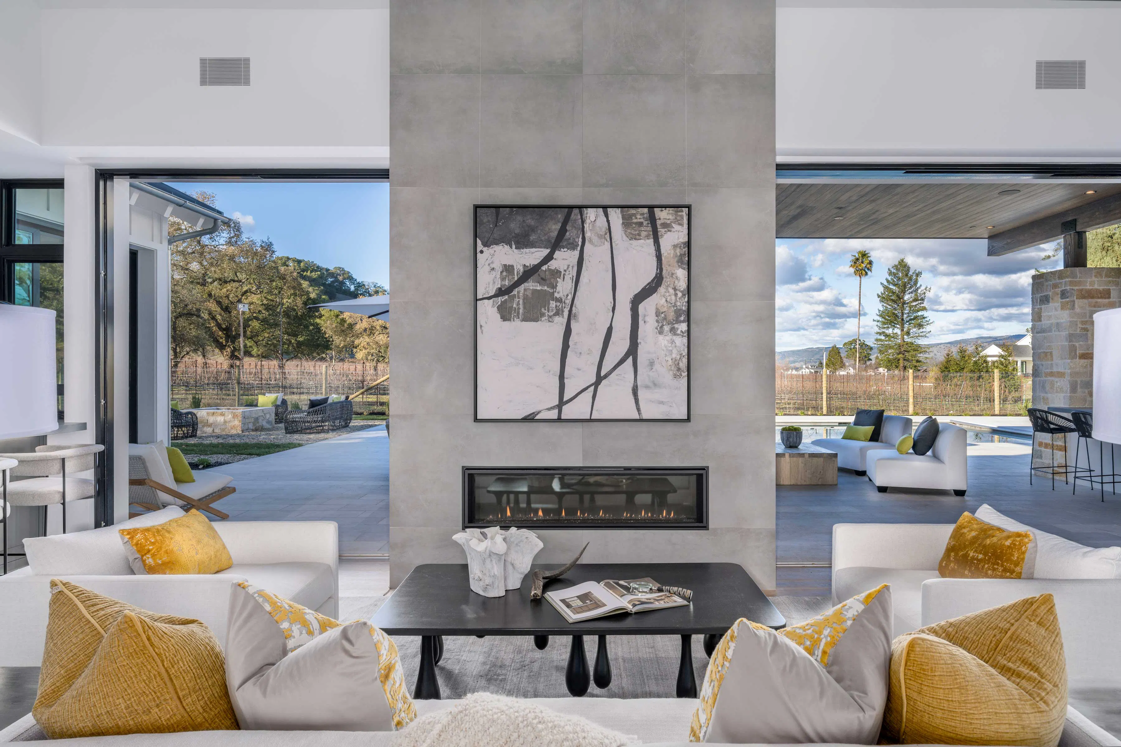 Meridith-Baer-Home-Home-Staging-California-Napa-Contemporary-Luxury-Homes-Modern-and-Contemporary-Living-Room