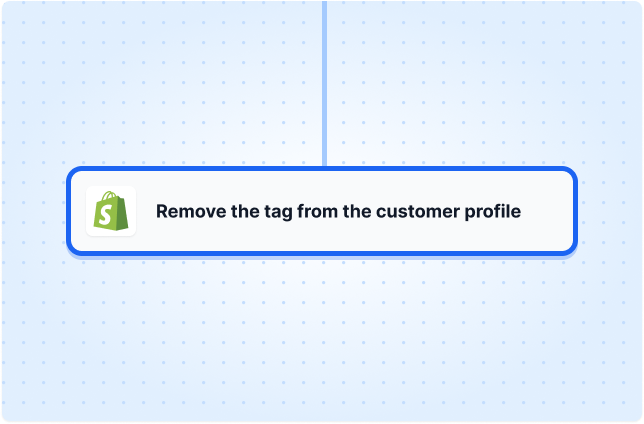 Remove the tag from the customer profile