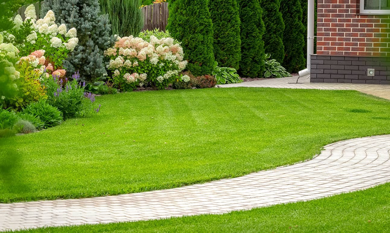 Ce să alegi: gazon natural sau gazon artificial?