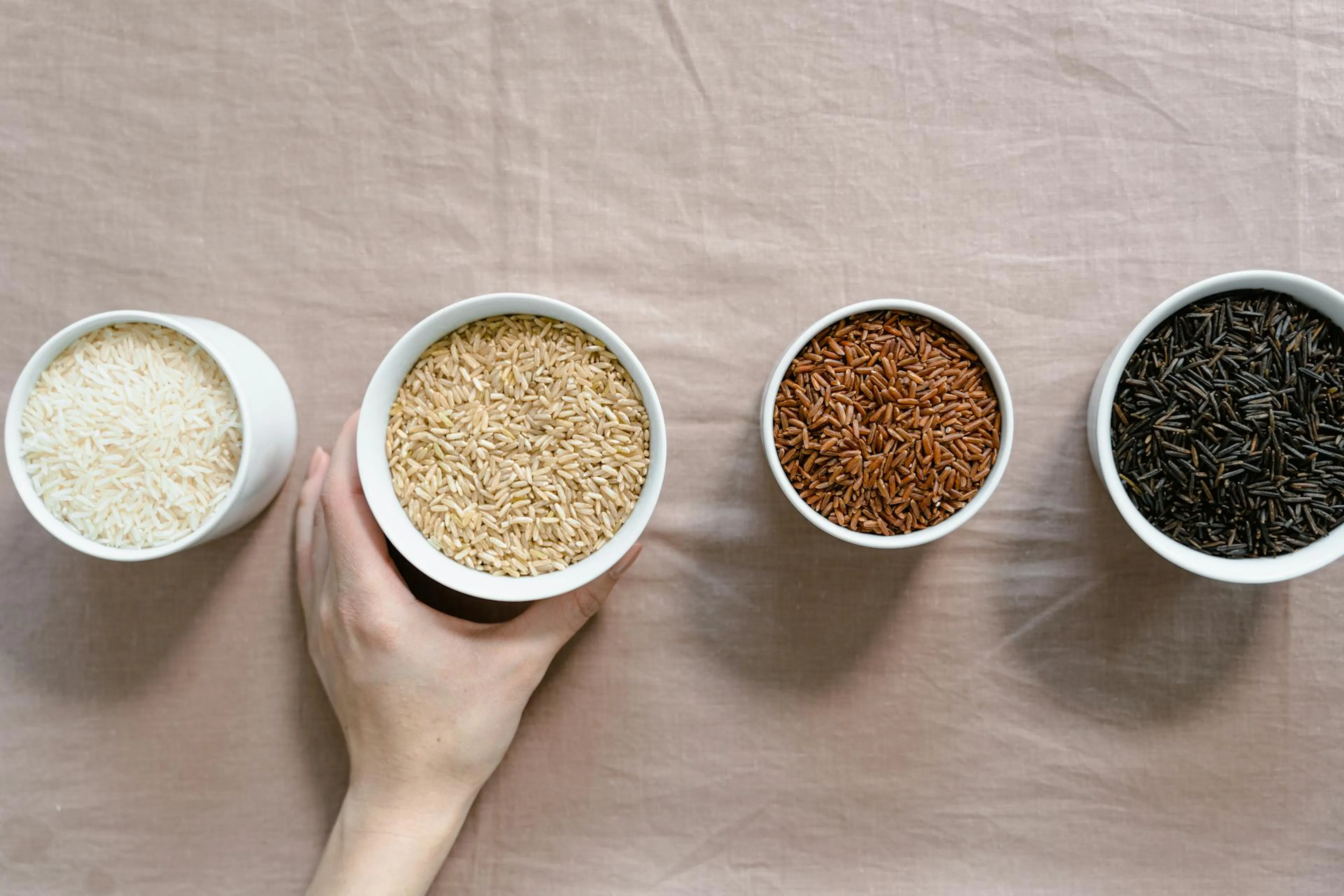 Comparison of brown, white, wild, jasmine, and basmati rice