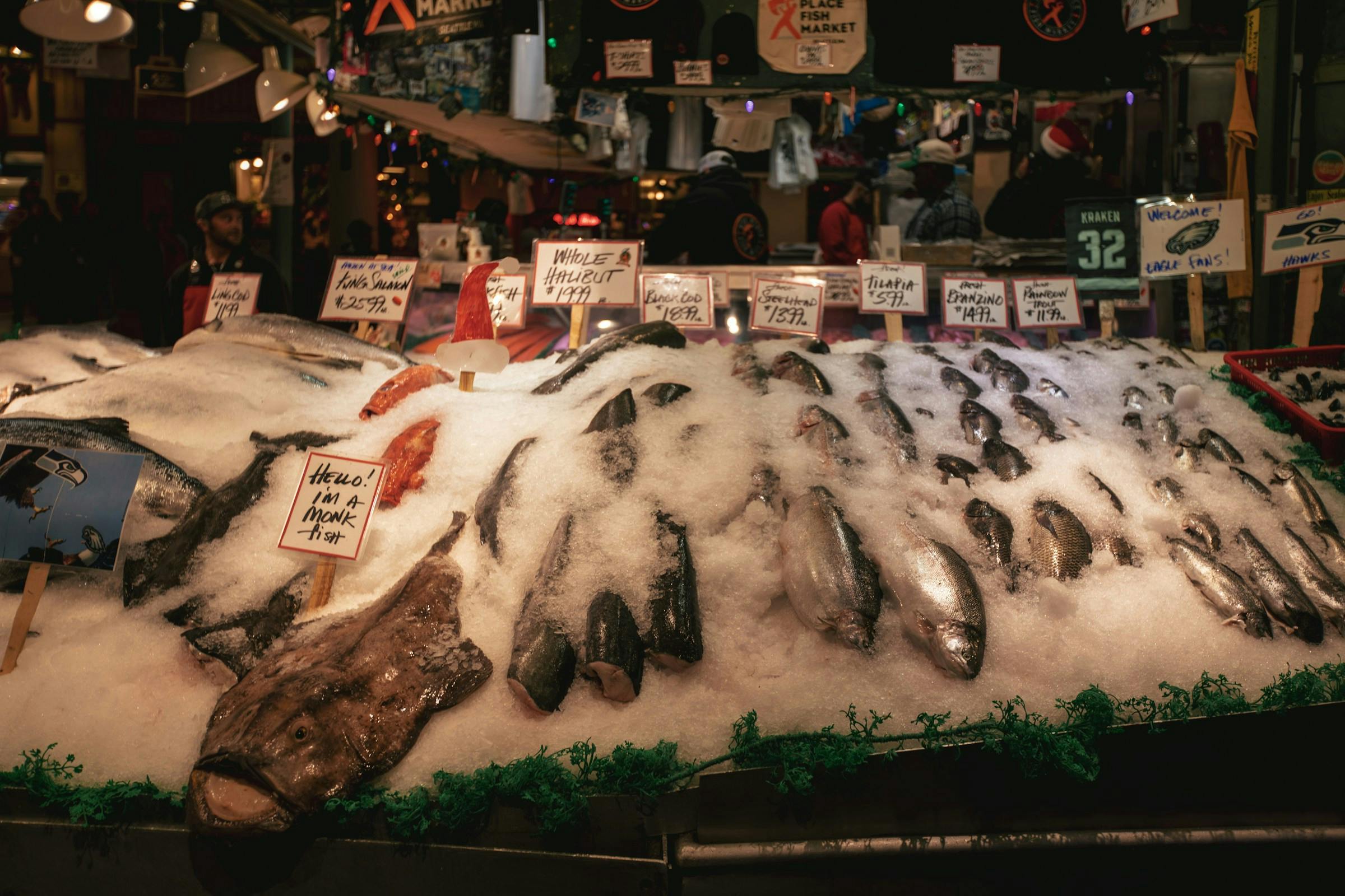 Fresh salmon fillet being checked for quality at a fish market