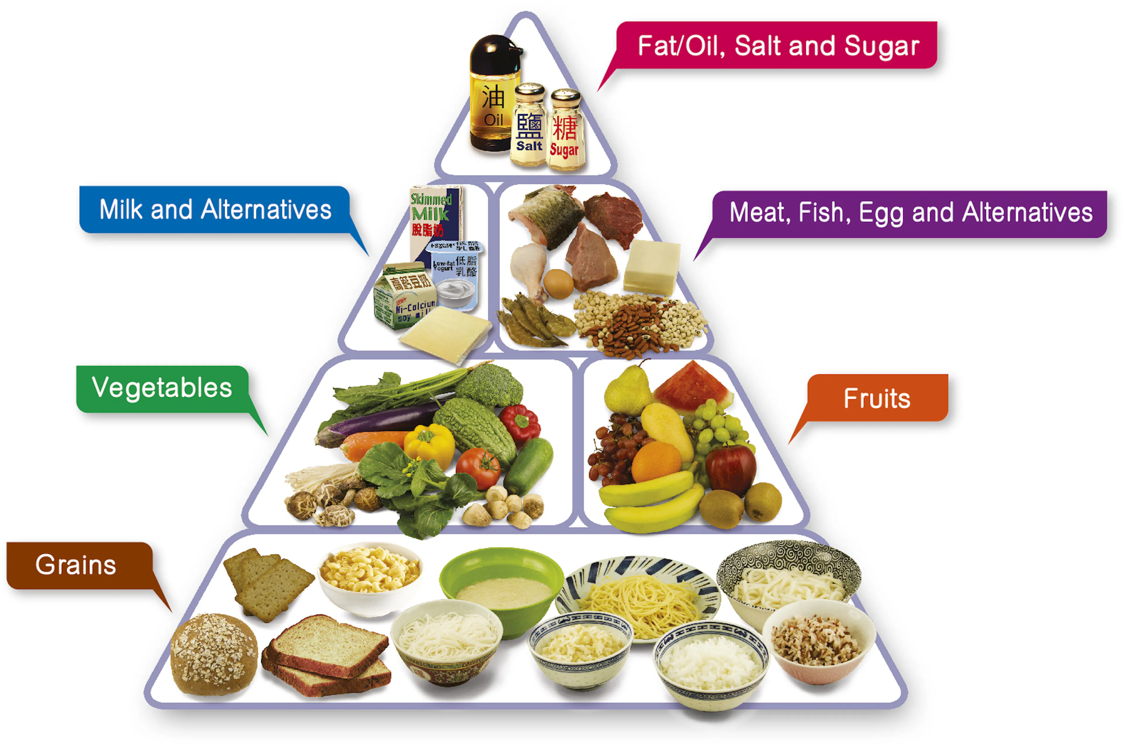 The food pyramid
