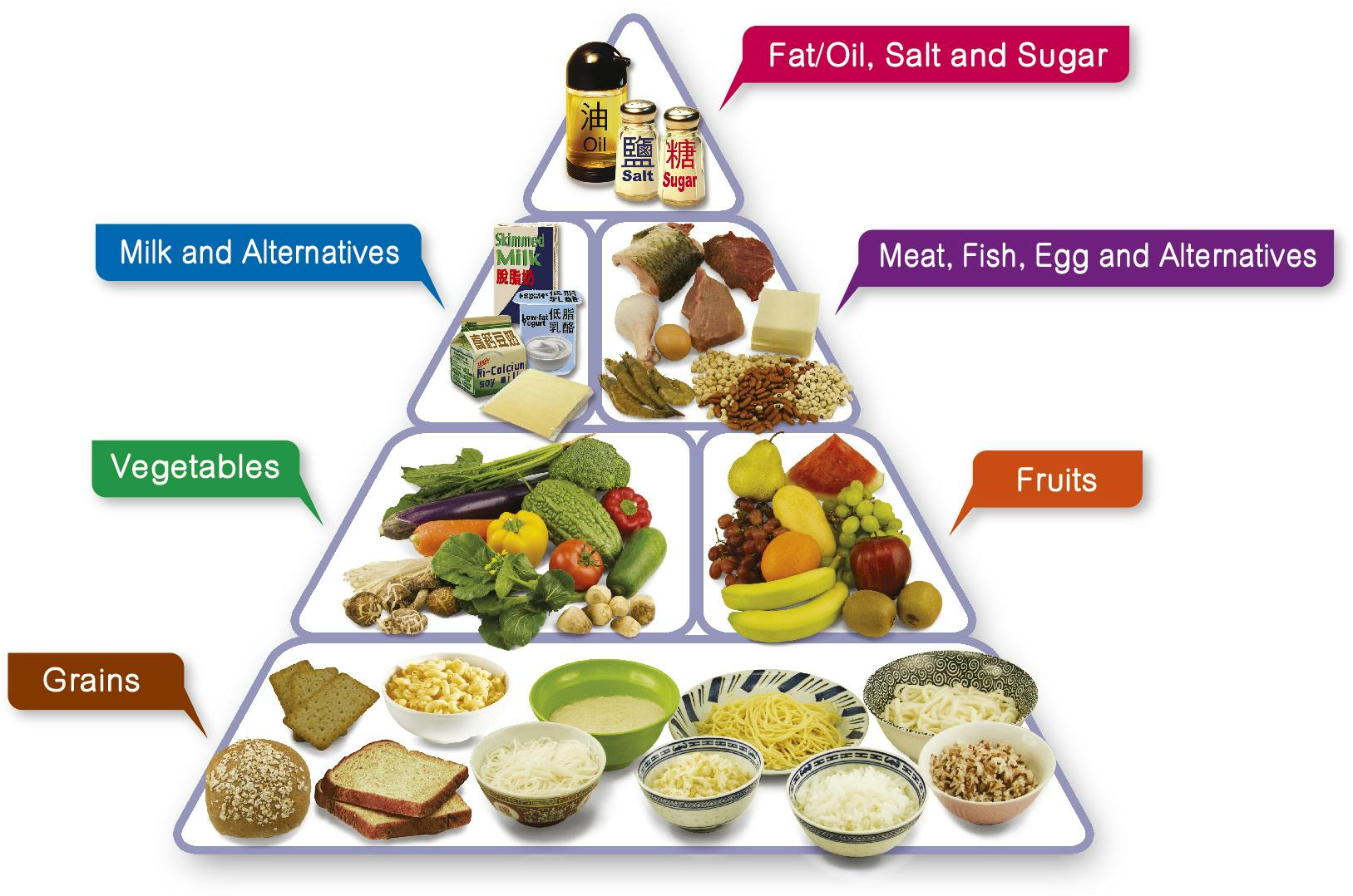 The food pyramid
