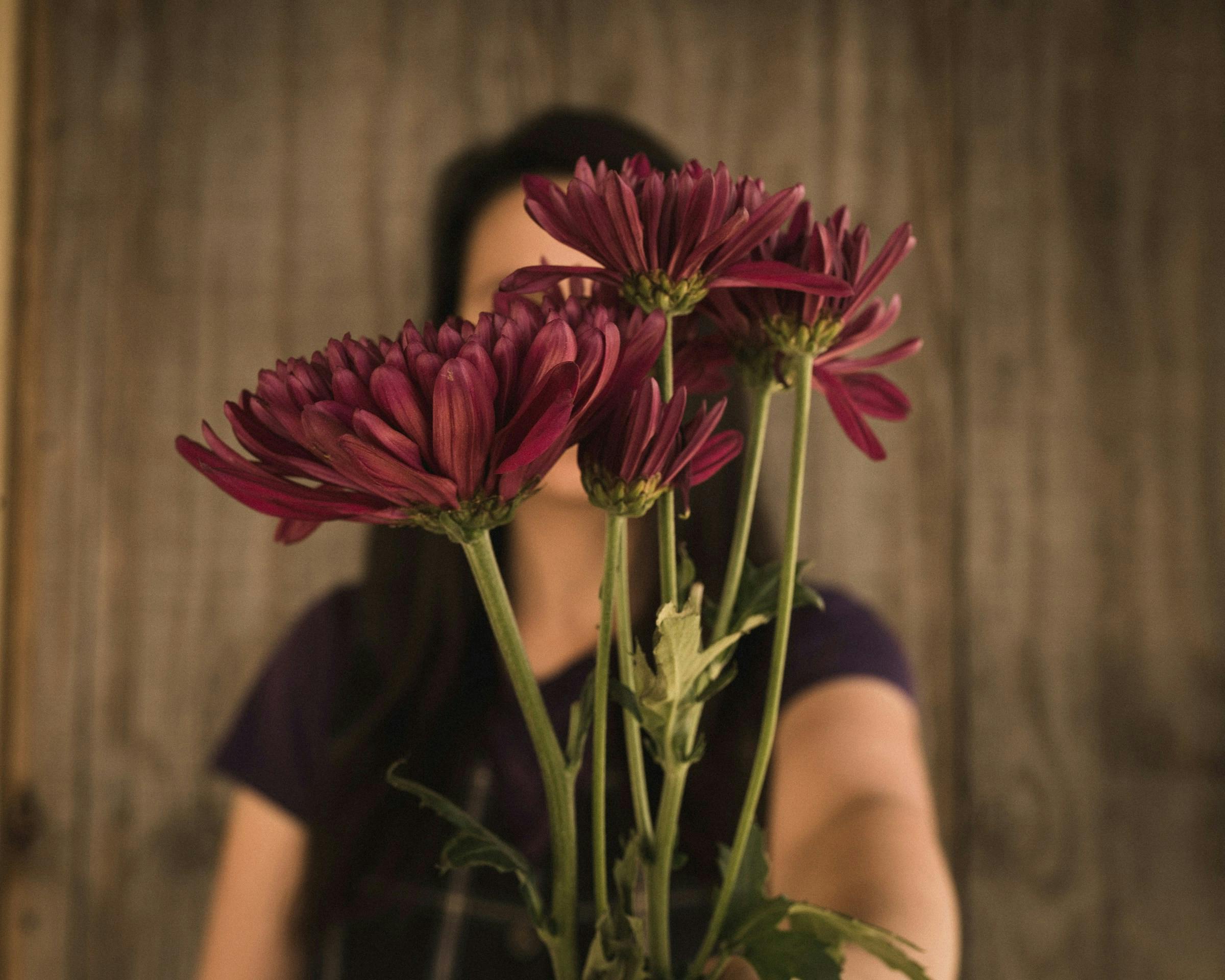 lavender herbal sleep remedy