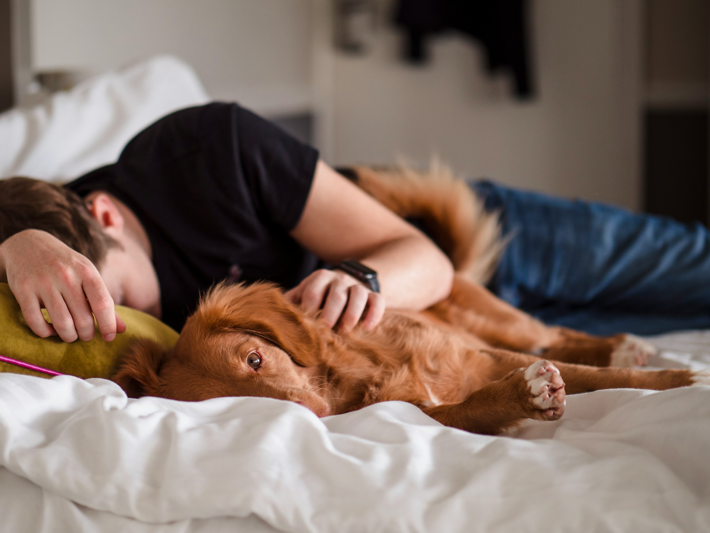 A man taking a nap with his dog on the bed