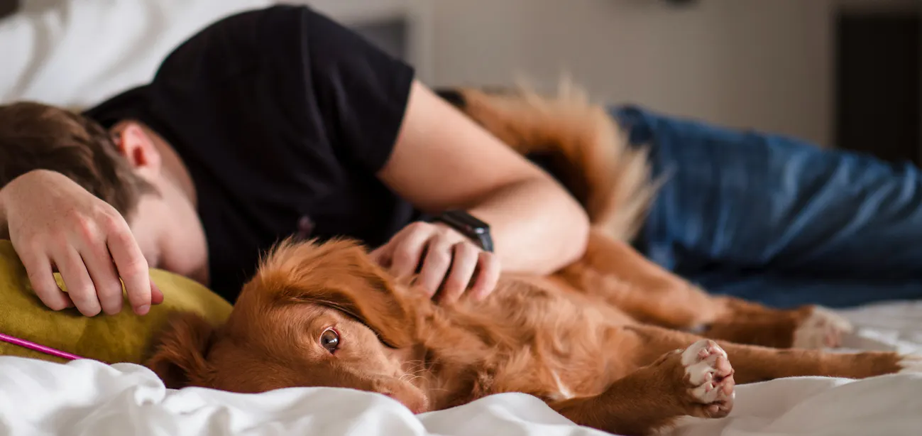 A man taking a nap with his dog on the bed