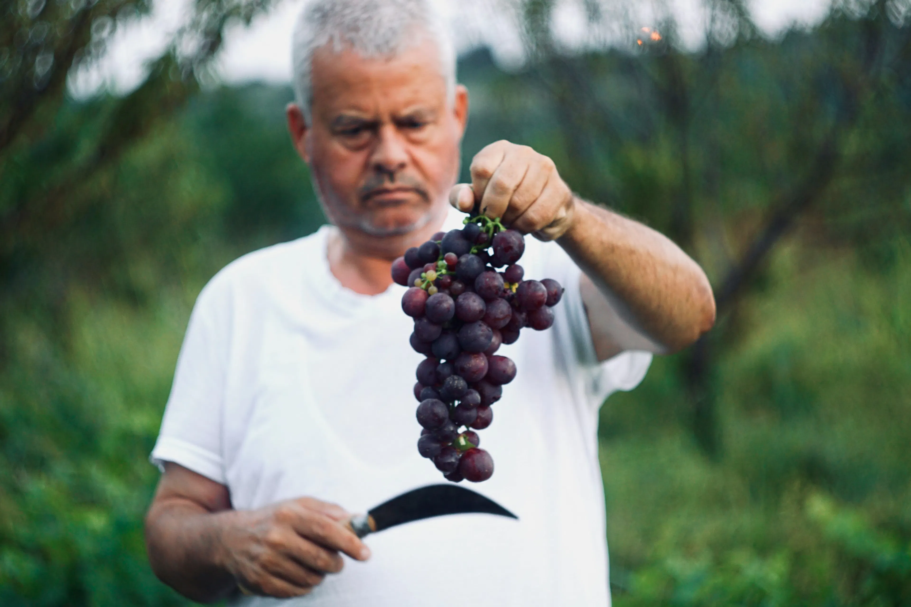 man with grape urolithin a natural sources
