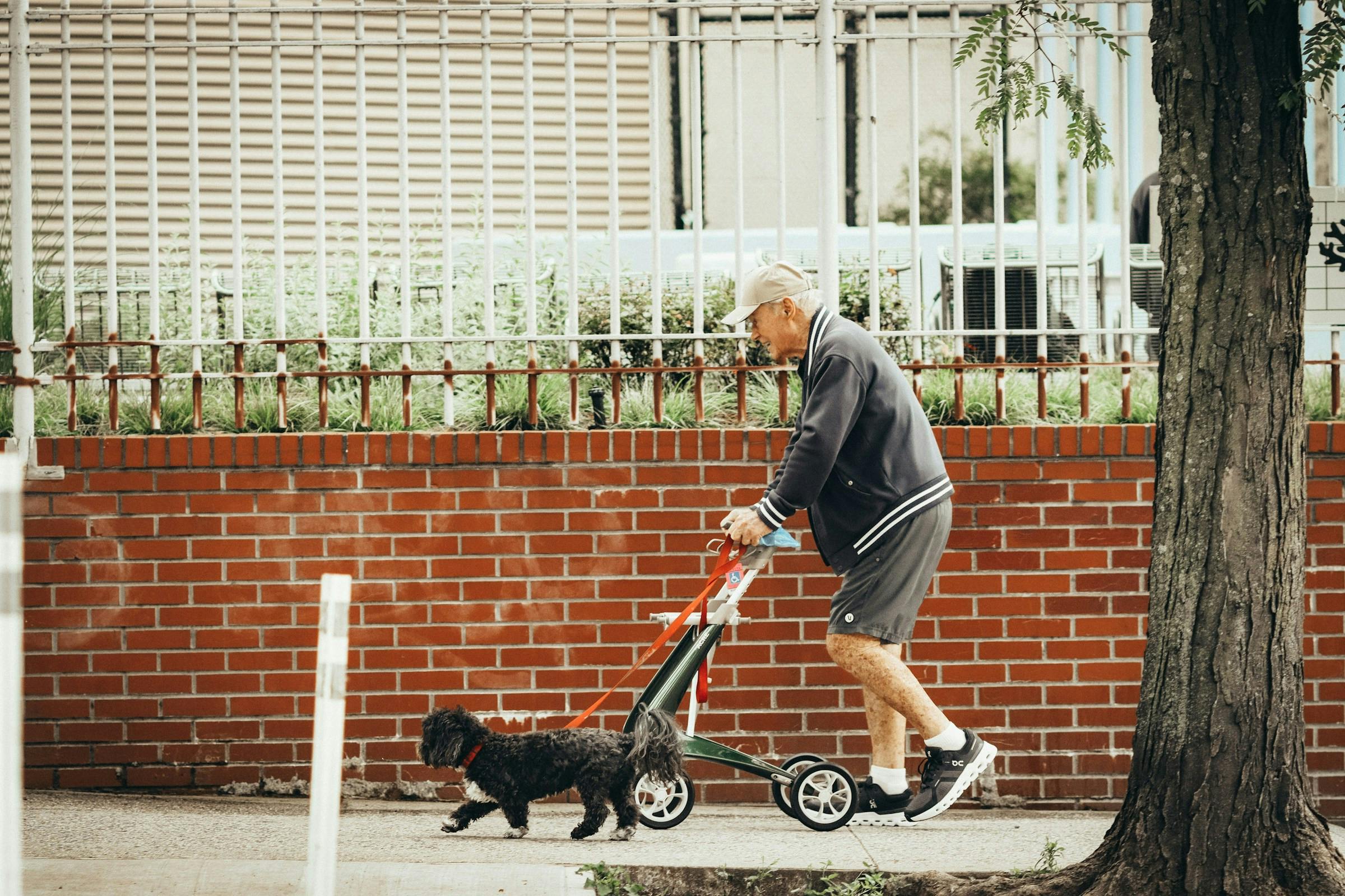 Image of an older man walking with aids