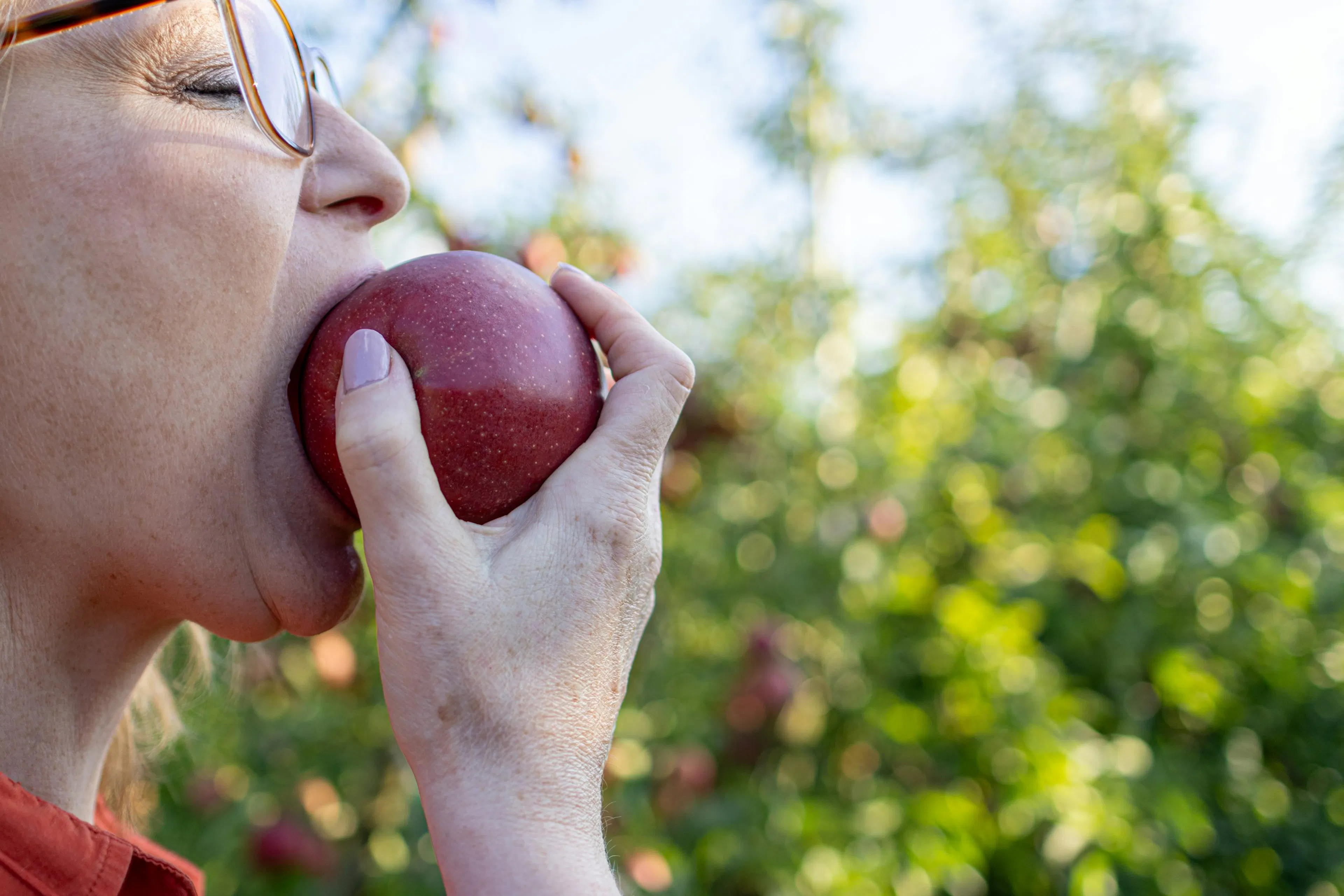 Comparison of carbohydrate content in different apple varieties including Granny Smith, Fuji, and Gala