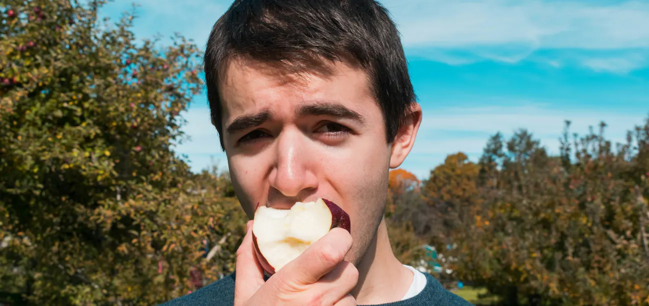 Carbohydrate content in apples by size, showing total carbs, fiber, and net carbs