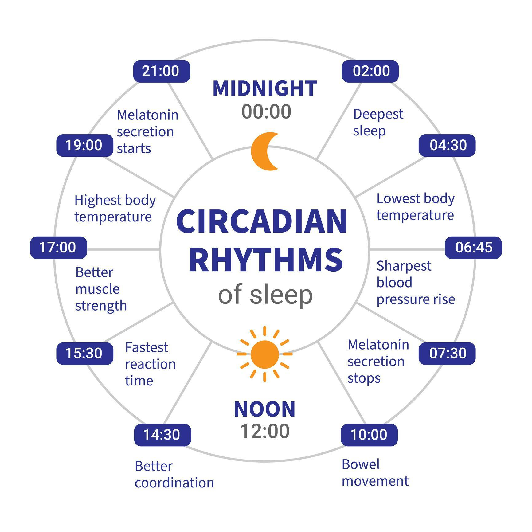 Circadian rhythm calendar