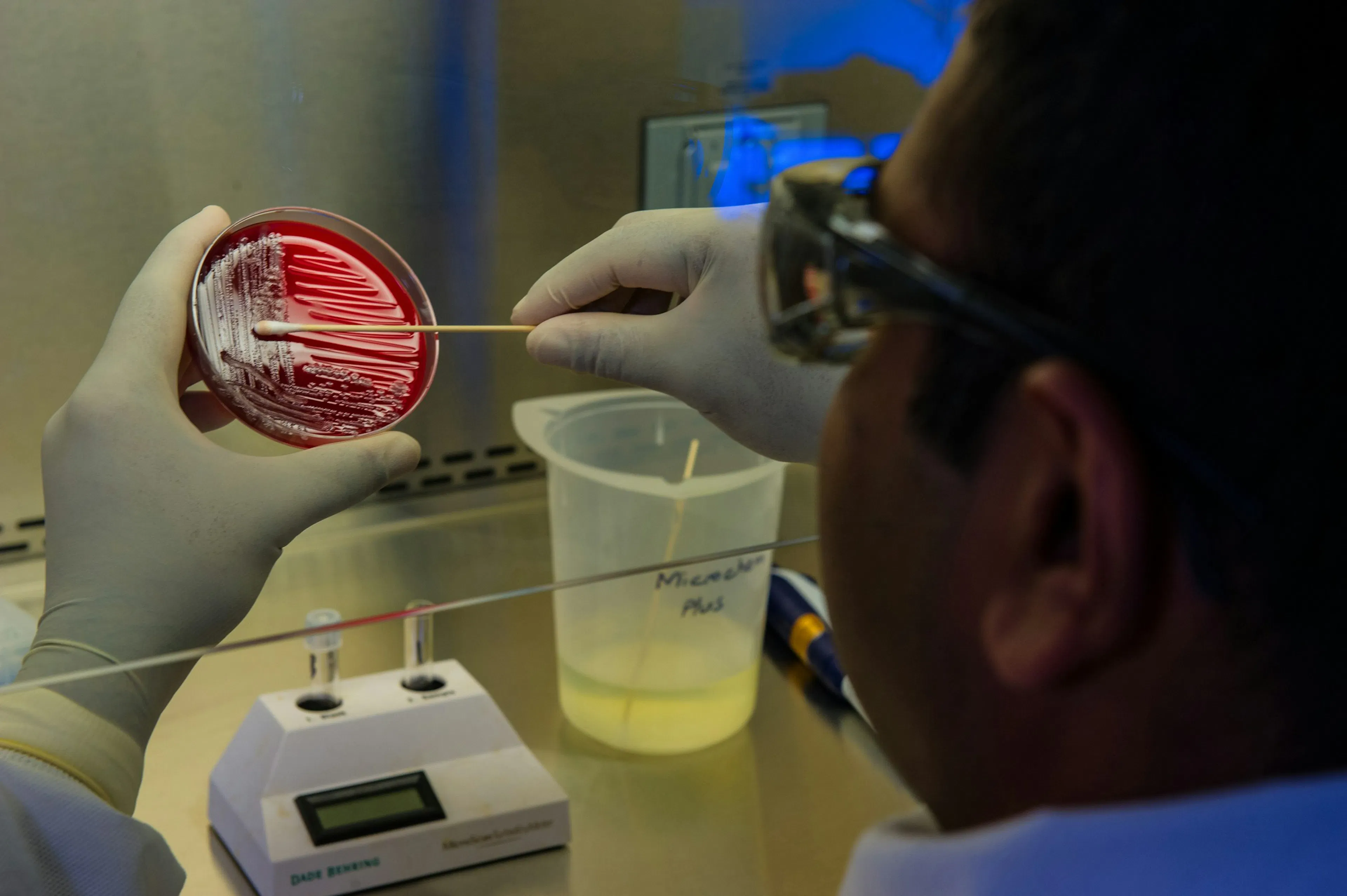is the dutch test scientifically valid