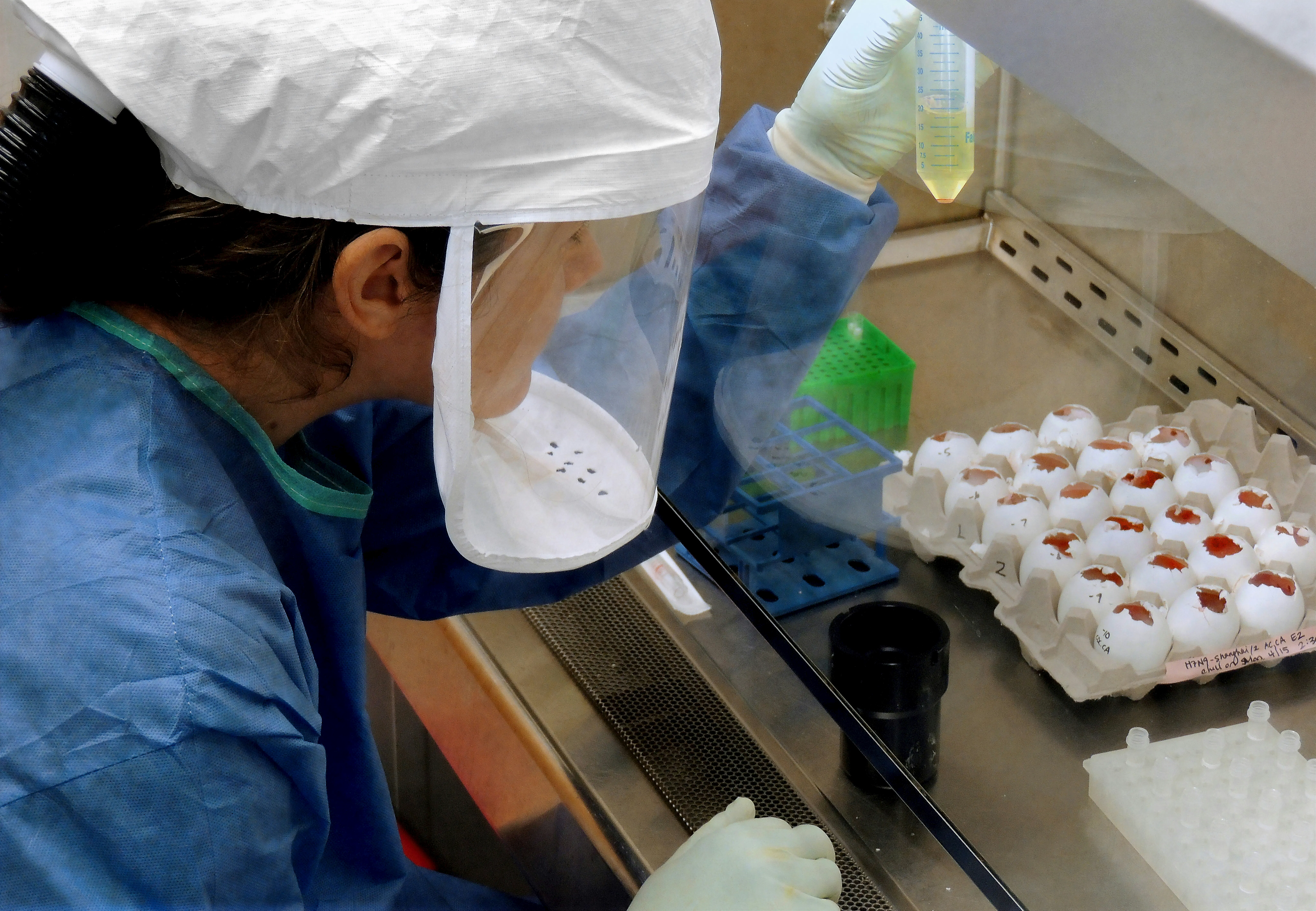 Pharmaceutical lab testing process for verifying drug purity and potency