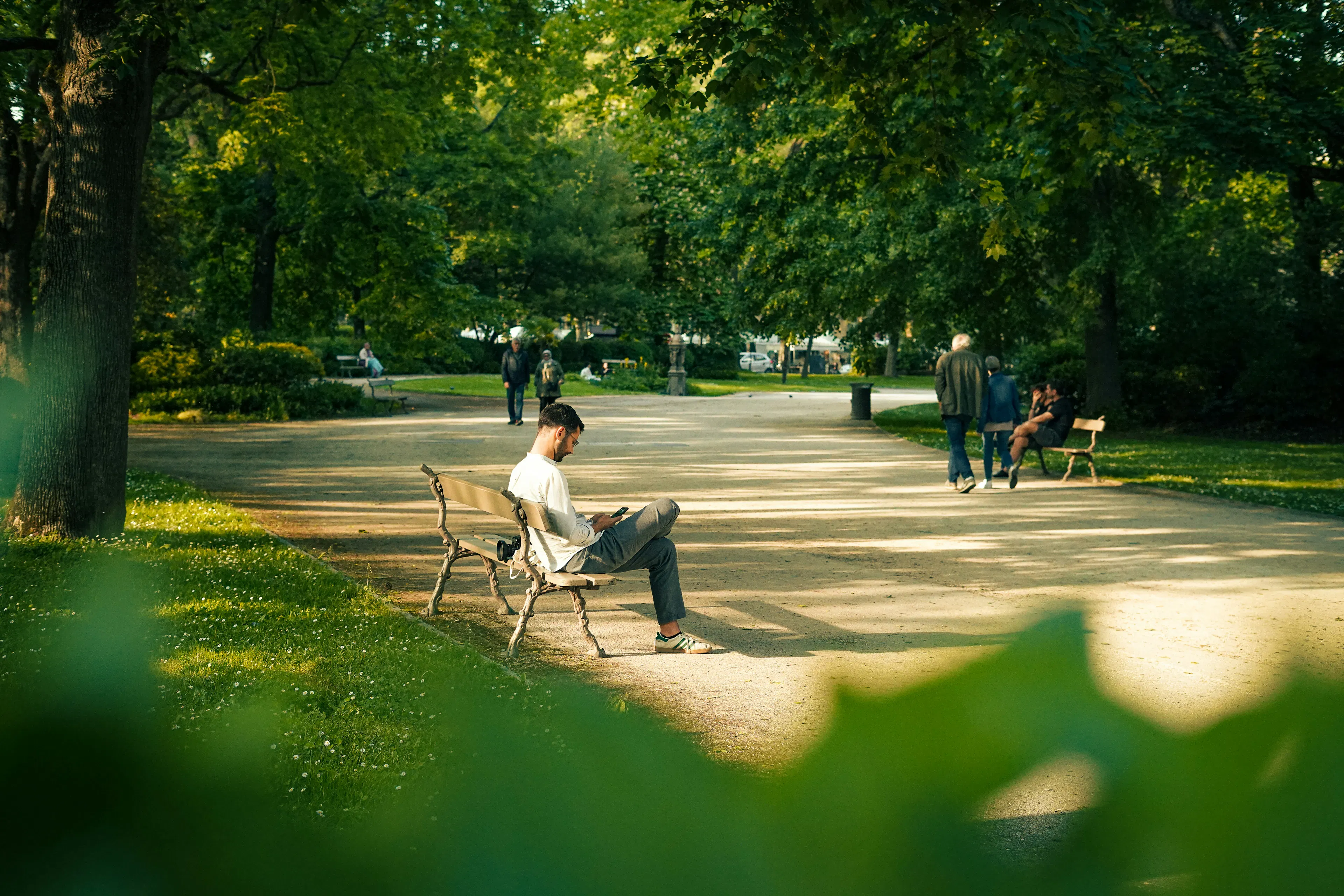 An image showing a young man reading about peptides on a park bench