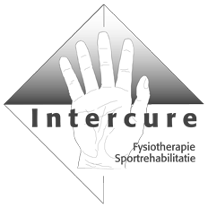 Logo Intercure Huizen
