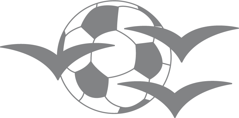 Logo HSV De Zuidvogels