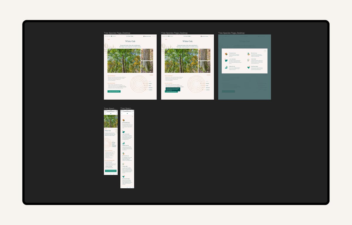 Ideation Step 5