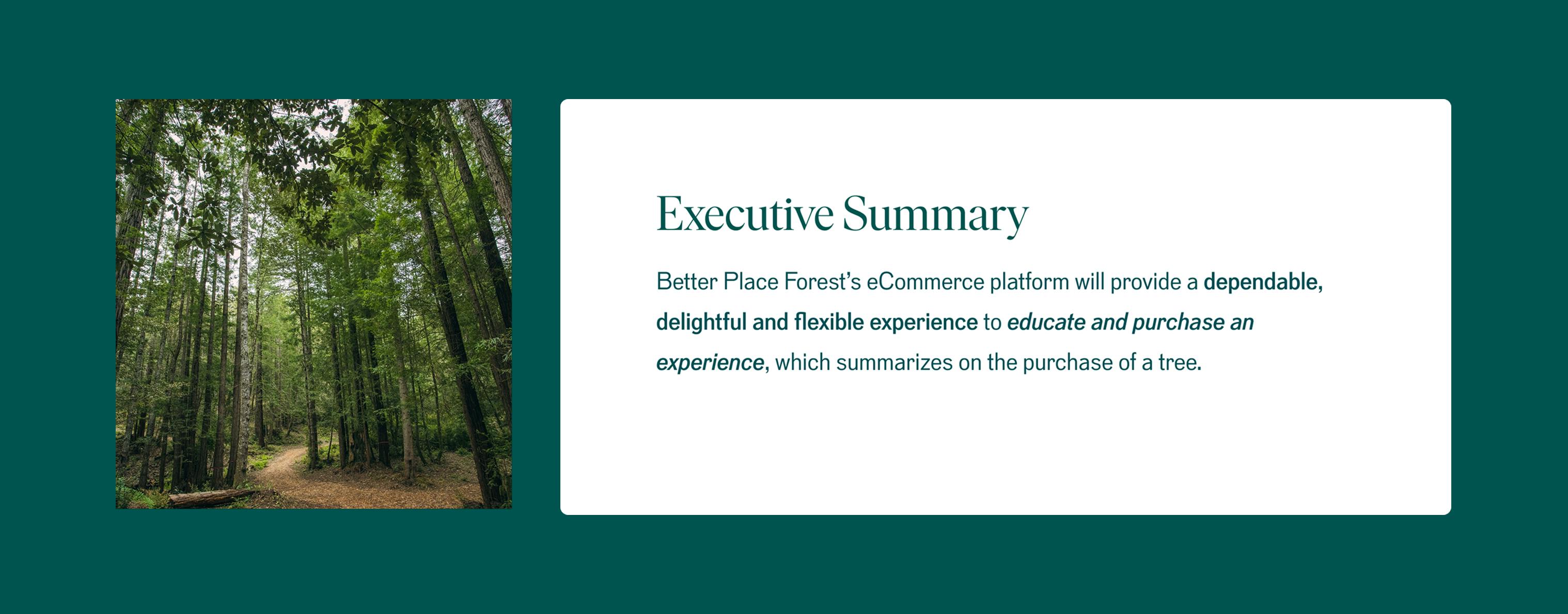 Problem Better Place Forests Executive Summary