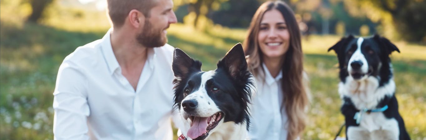 People with dogs