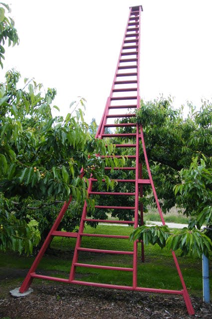 World’s tallest tripod ladder