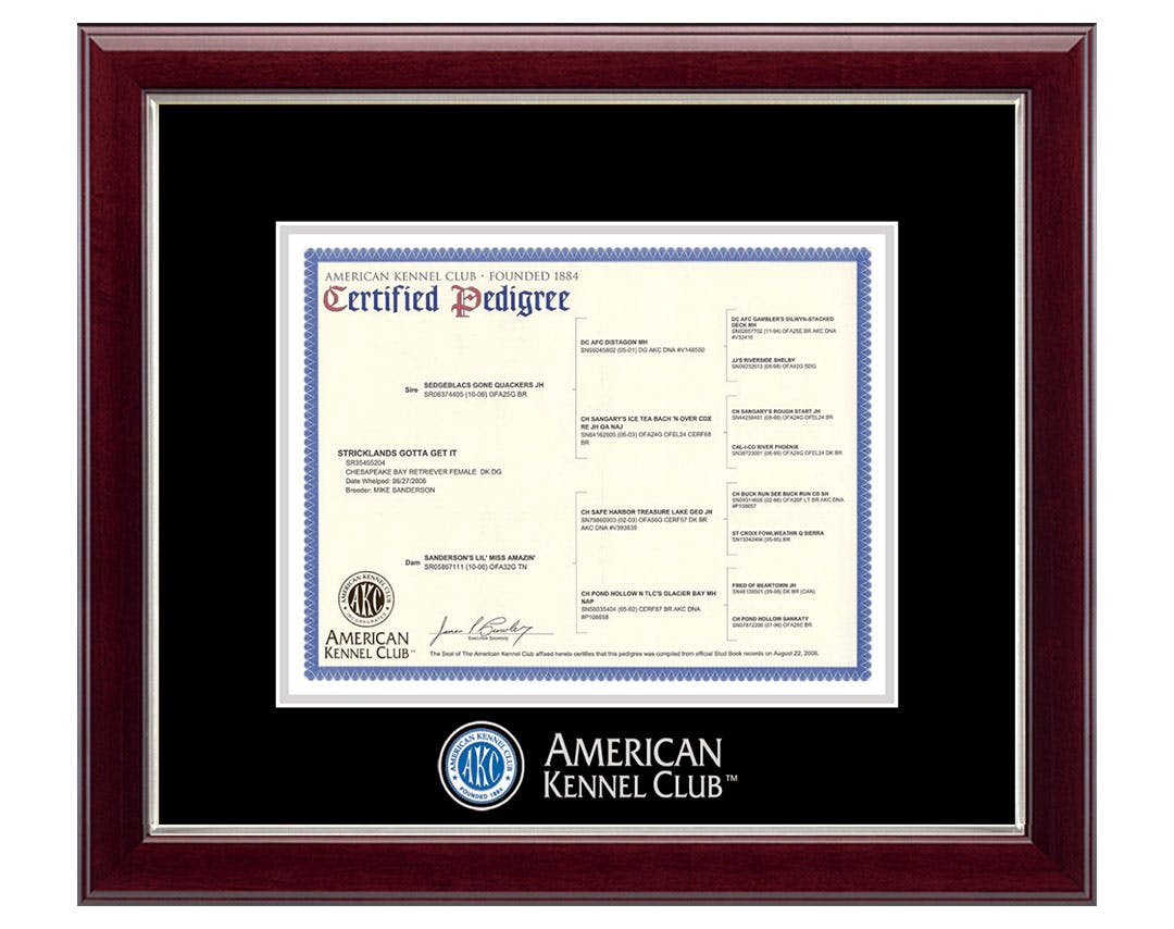 AKC American Kennel Club certificate frame 