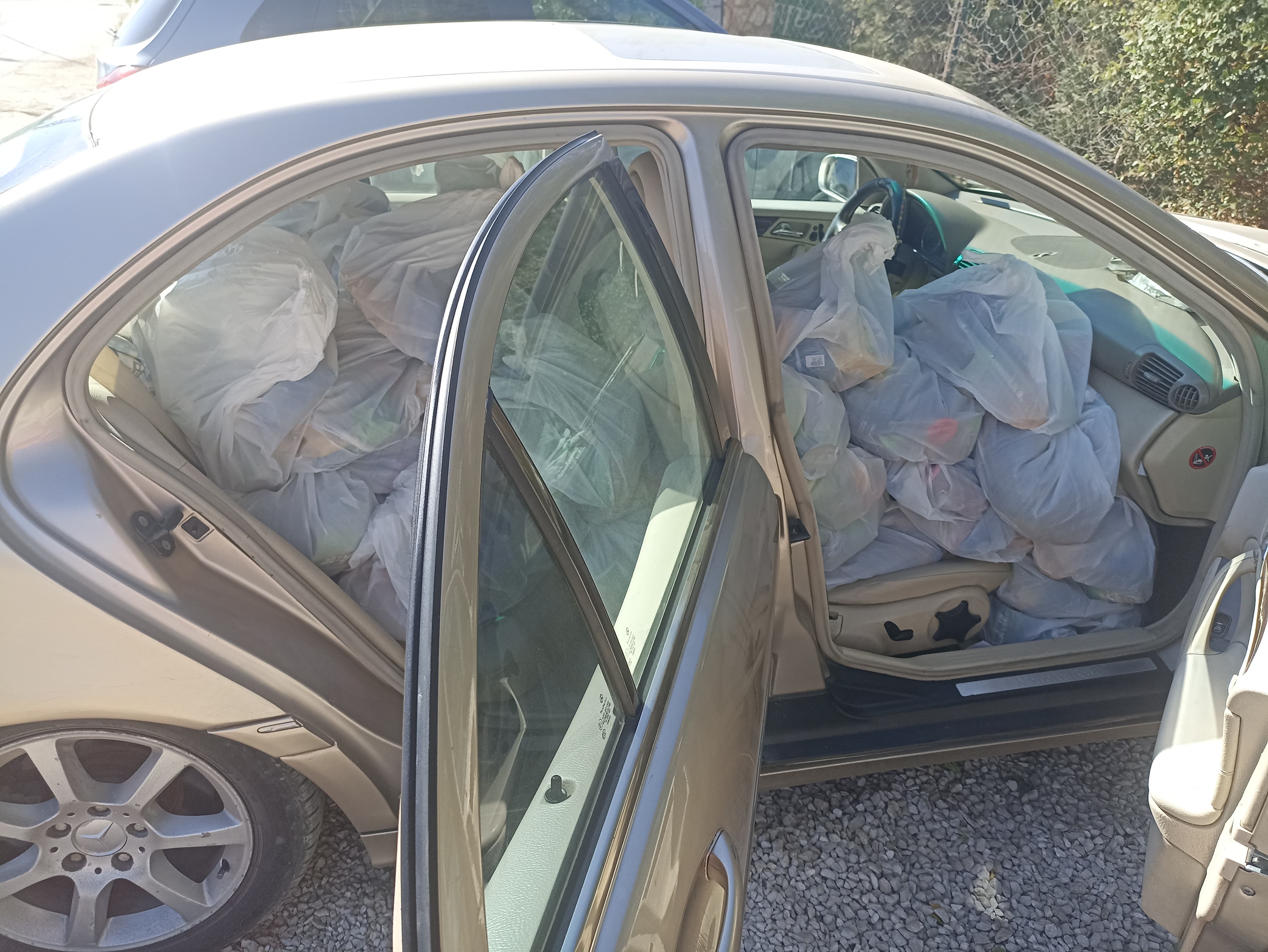 Food distribution in September 2026