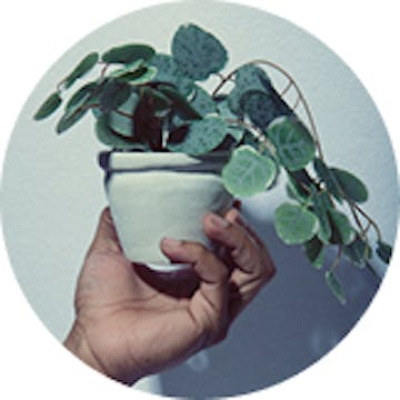 Cannabis accessories