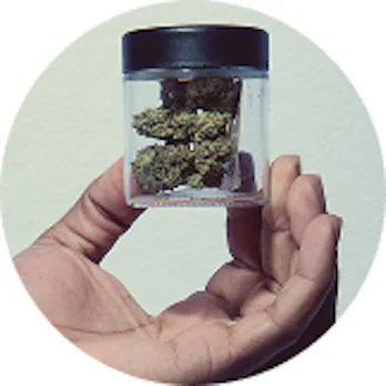 Cannabis flower