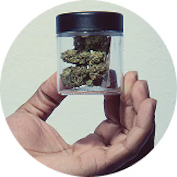 Cannabis flower