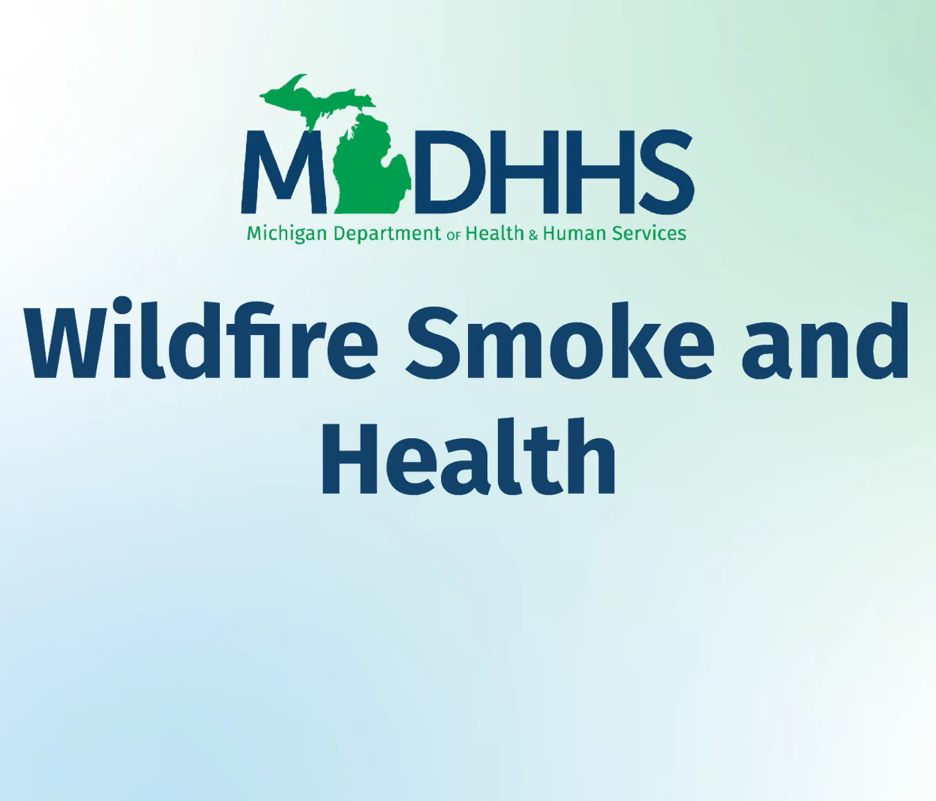 How wildfire smoke in Michigan impacts health