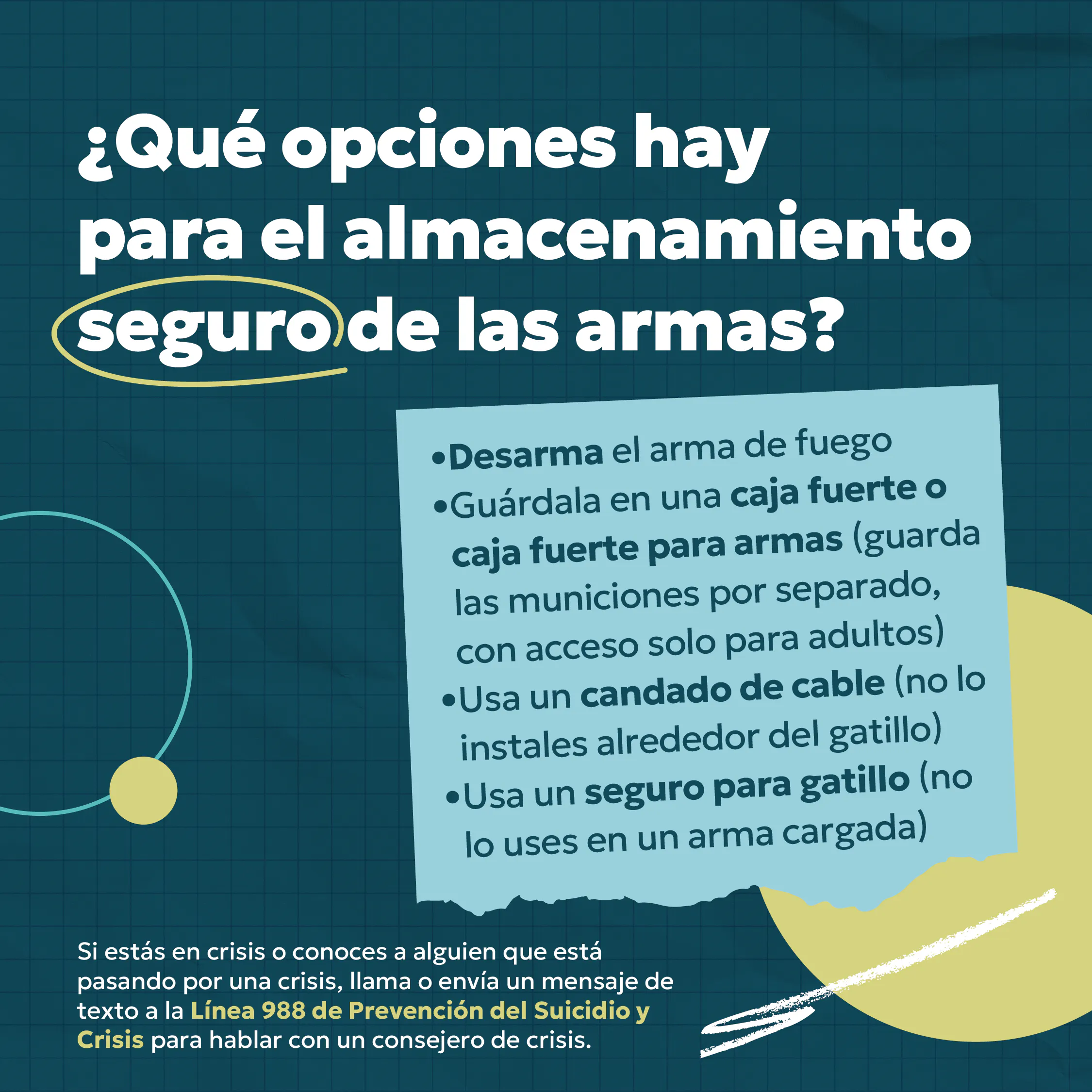 Opciones para almacenamiento seguro de armas.