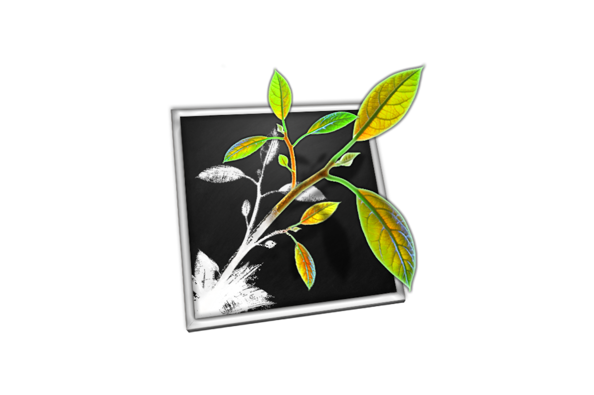 MindNode 1.0 icon