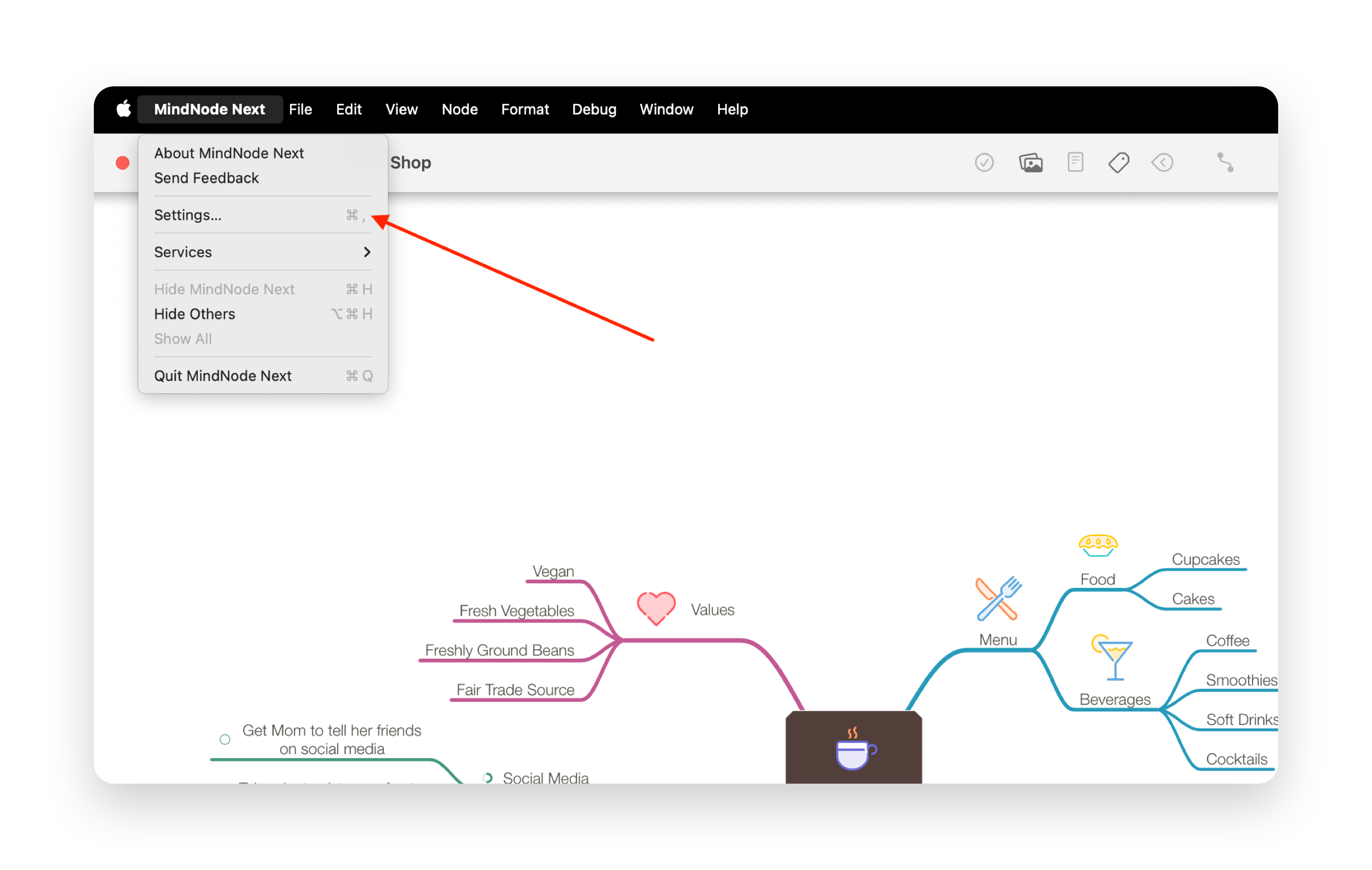  MindNode Next Settings