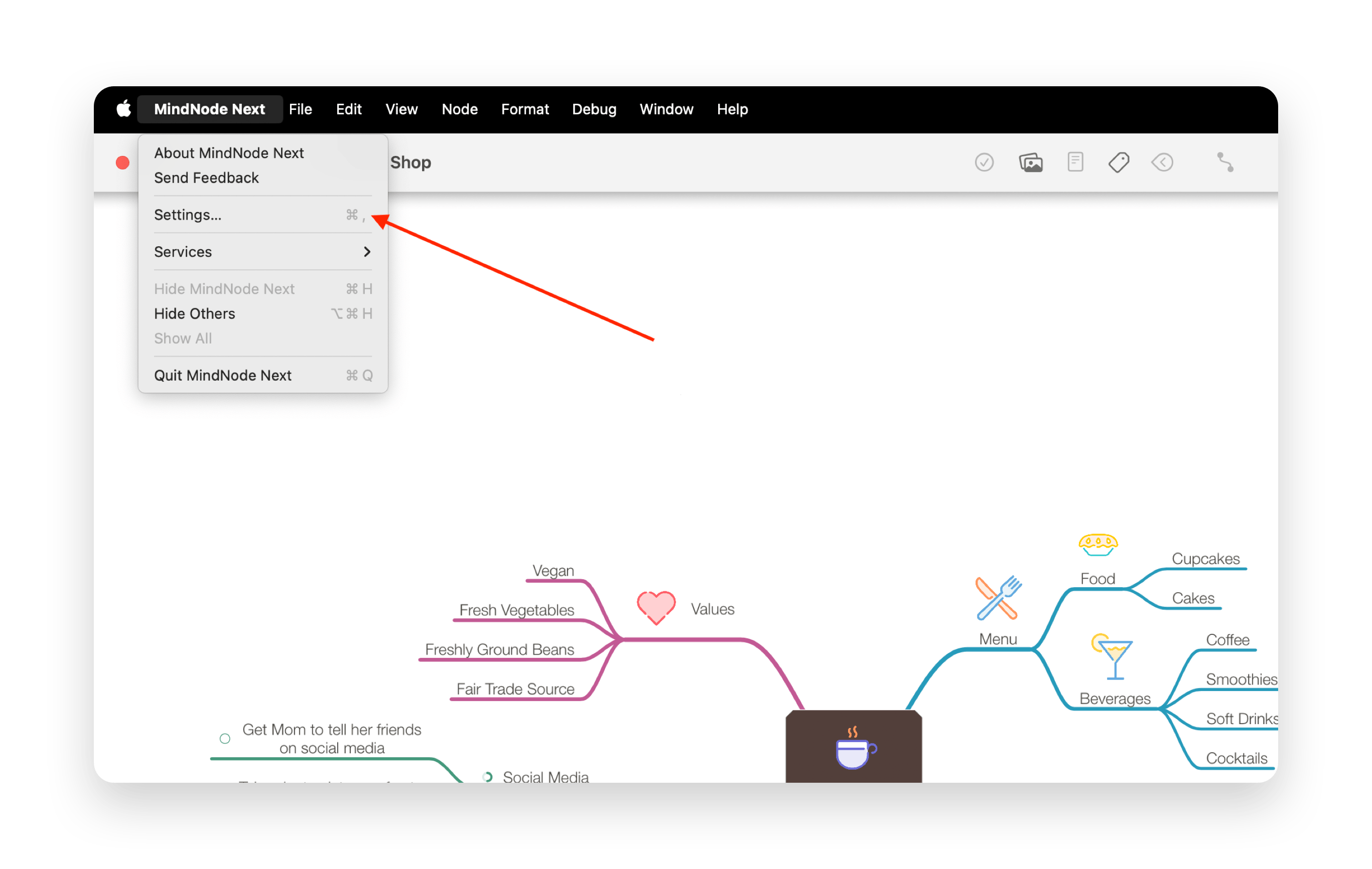  MindNode Next Settings