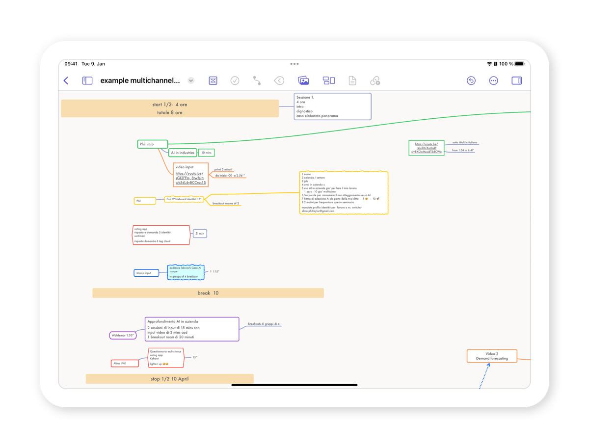 Mind map showing the agenda of a workshop.