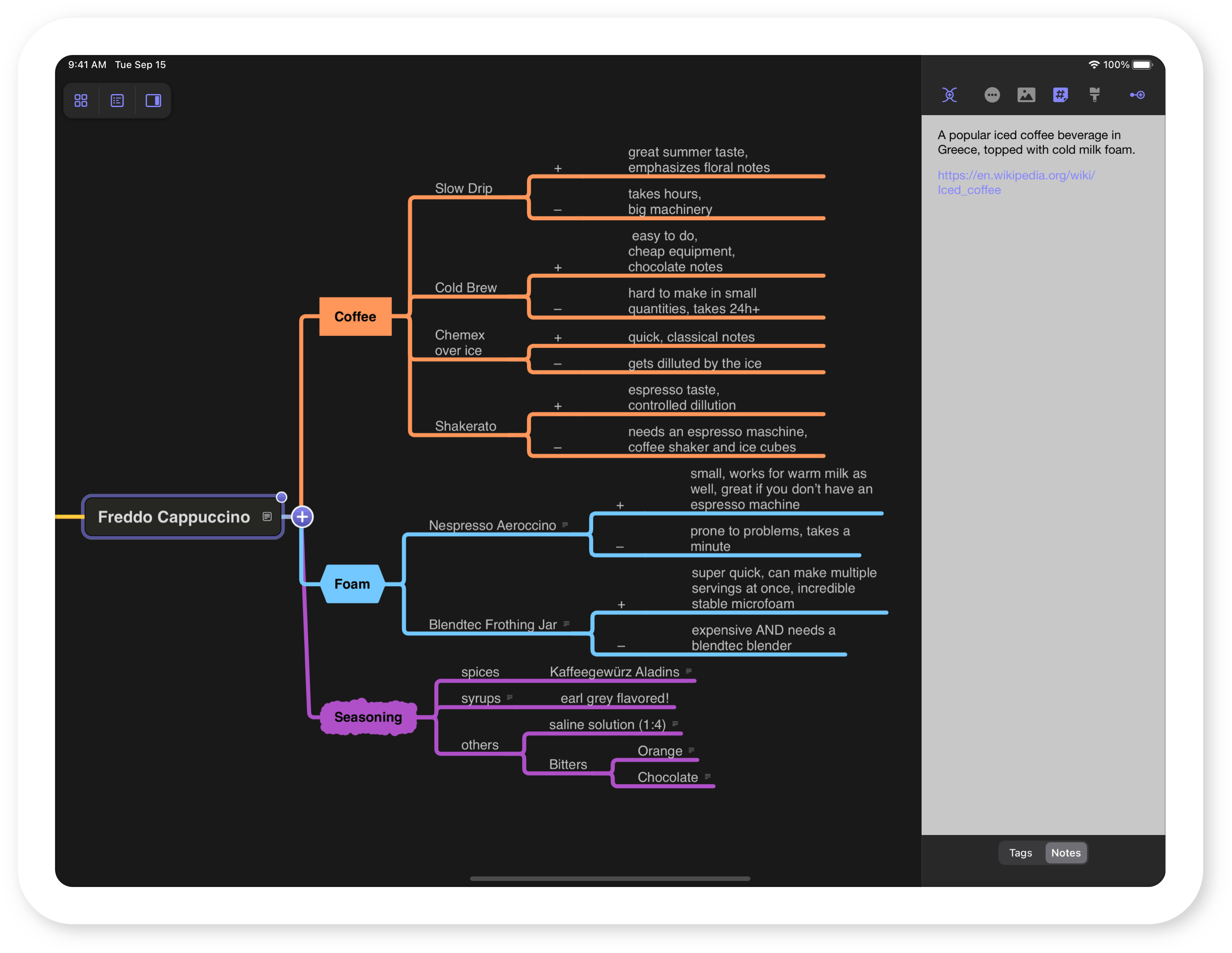 Harald's mind map on an iPad