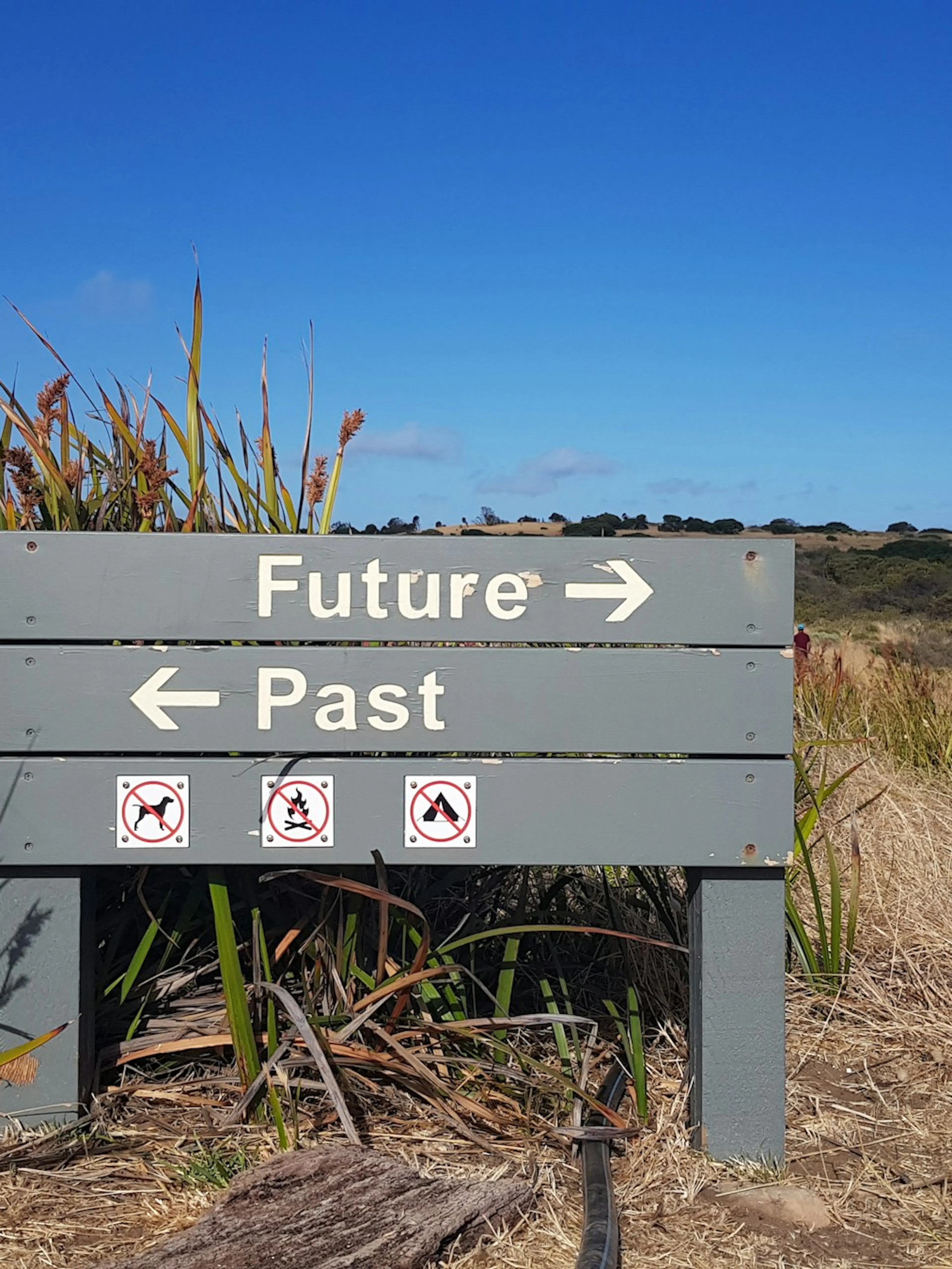 black and white wooden signage