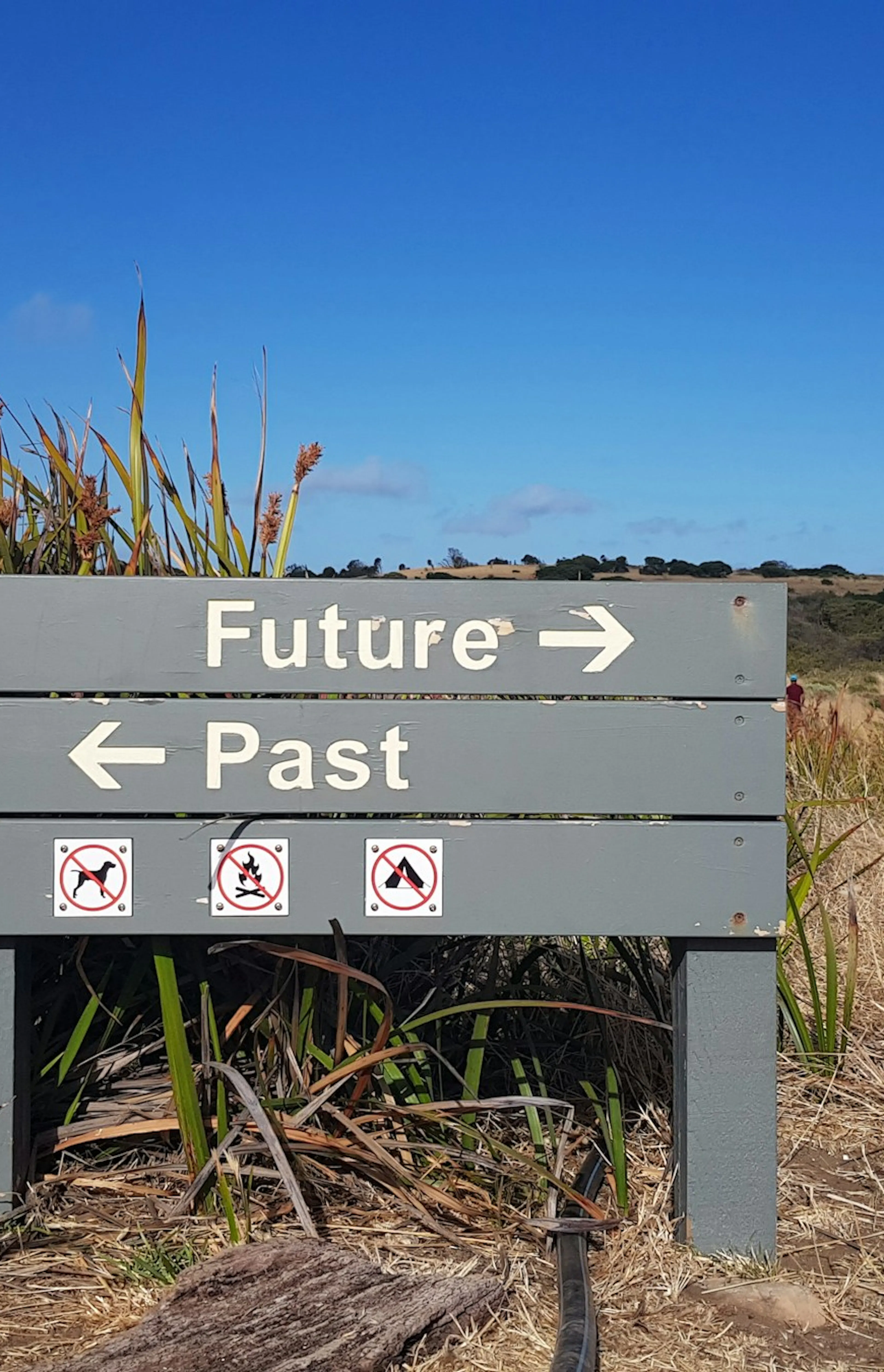 black and white wooden signage